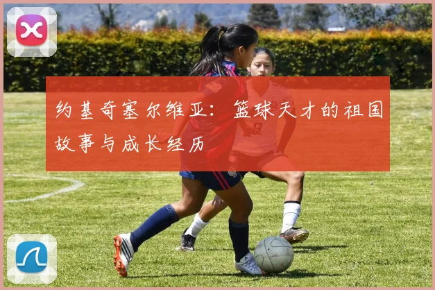 约基奇塞尔维亚：篮球天才的祖国故事与成长经历