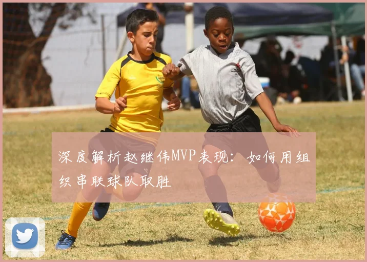 深度解析赵继伟MVP表现：如何用组织串联球队取胜